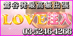 LOVE注入