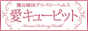 愛キューピット