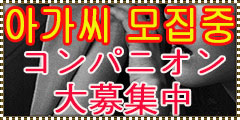 コンパニオン募集中